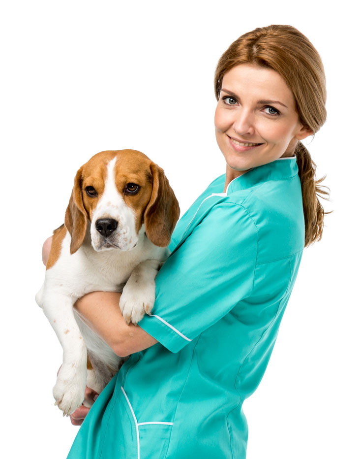 Services-Image